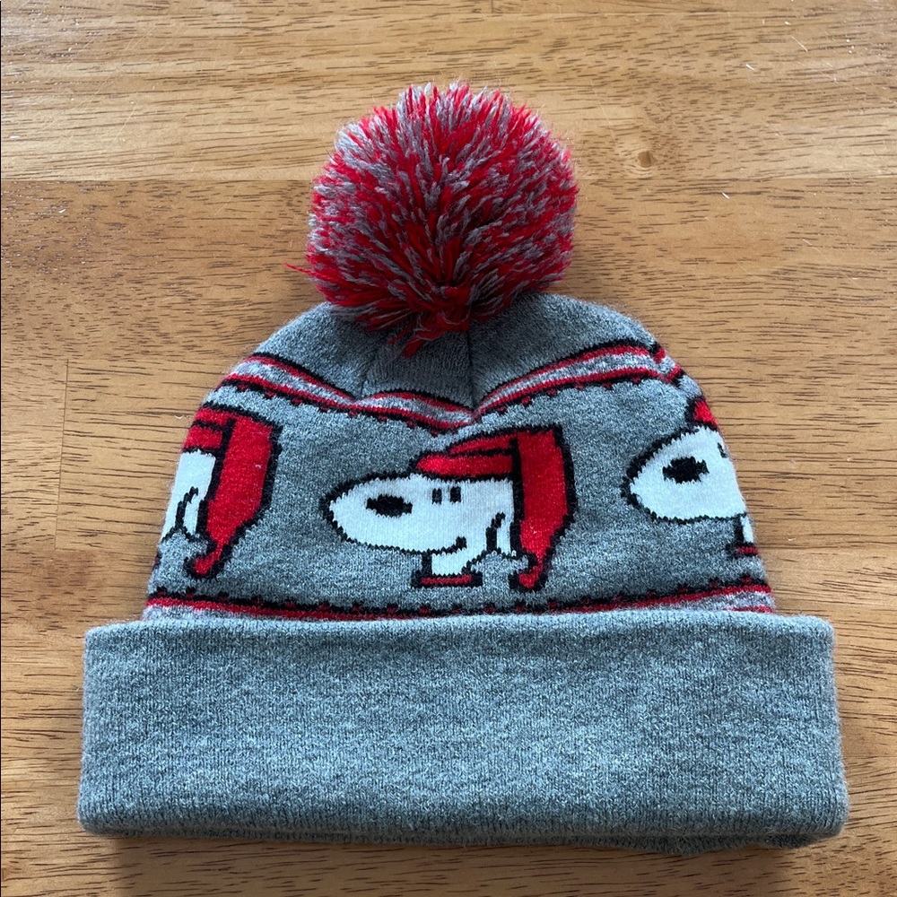 Snoopy Winter Beanie (American Eagle Outfitters)